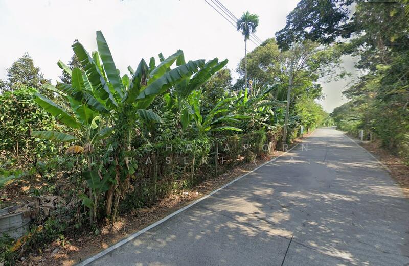 ขายด่วน! ที่ดินสวนผลไม้ ราคาถูกมาก ซอยไทรม้า เมืองนนทบุรี, Nonthaburi