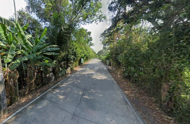 ขายด่วน! ที่ดินสวนผลไม้ ราคาถูกมาก ซอยไทรม้า เมืองนนทบุรี, Nonthaburi