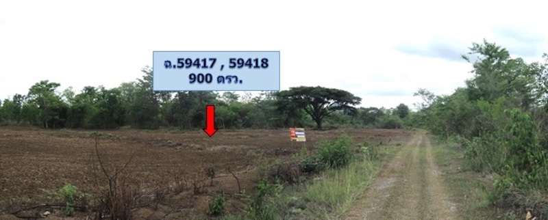 Empty land, Sri Phum Chai Agriculture Park project, Lamphun.