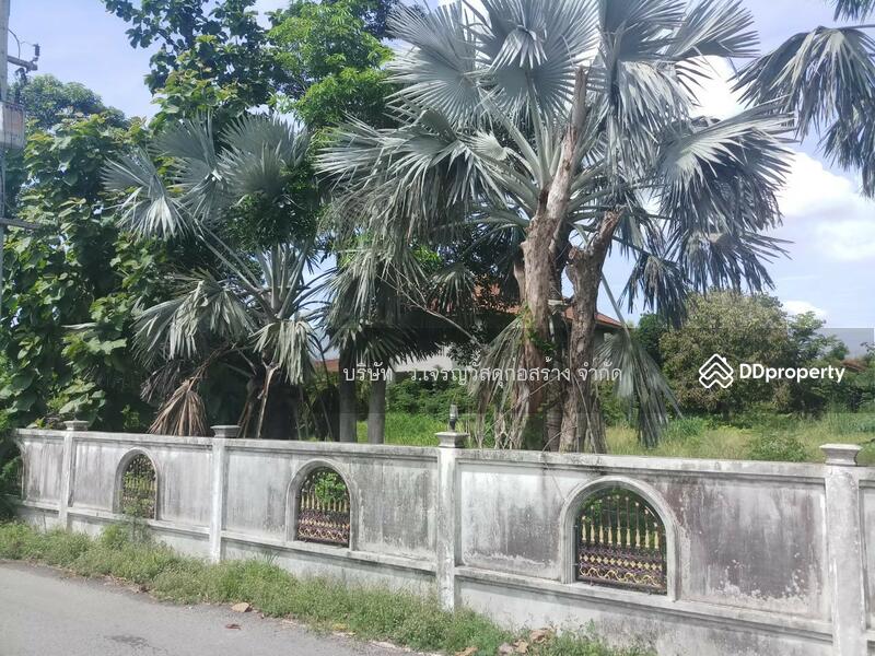 ขายบ้านสวนมะม่วง 26 ไร่ ถนนสุวินทวงศ์สาย 304 ก่อนเข้าเมืองแปดริ้ว จากรามอินทราไปเพียง 30 นาที, Chachoengsao