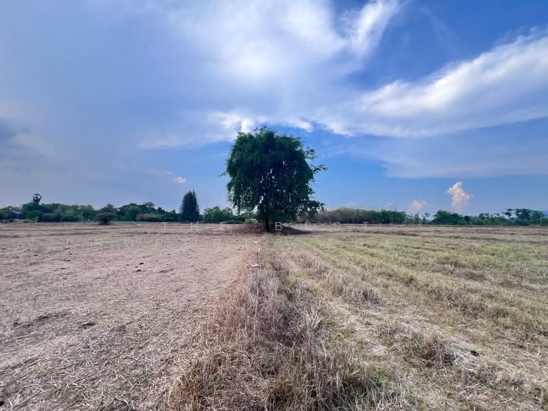 ที่ดินหินกอง ราชบุรี, Ratchaburi