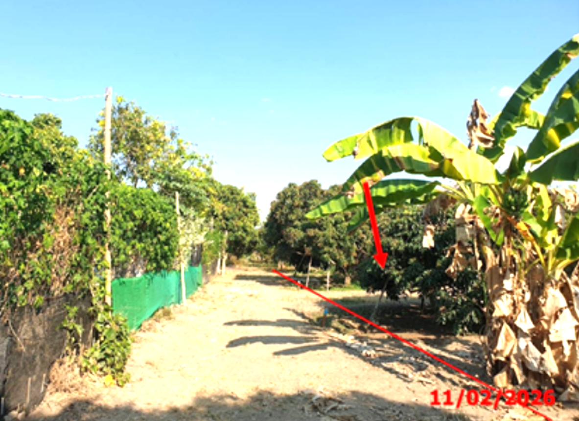 Vacant Land, Viang Nong Lom, Lamphun