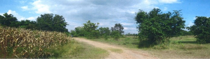 ที่ดินเปล่า โครงการกรีนการ์เด้นท์ นครราชสีมา