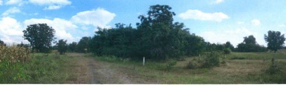 ที่ดินเปล่า โครงการกรีนการ์เด้นท์ นครราชสีมา