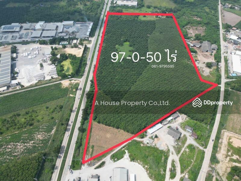 Land for sale in Ban Bueng, 97 rai, Nong Irun., Chon Buri (Pattaya)