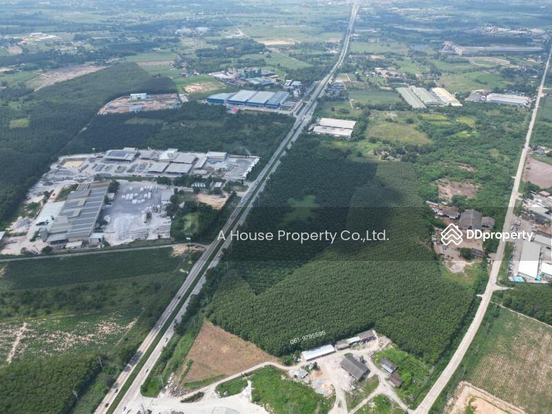 Land for sale in Ban Bueng, 97 rai, Nong Irun., Chon Buri (Pattaya)