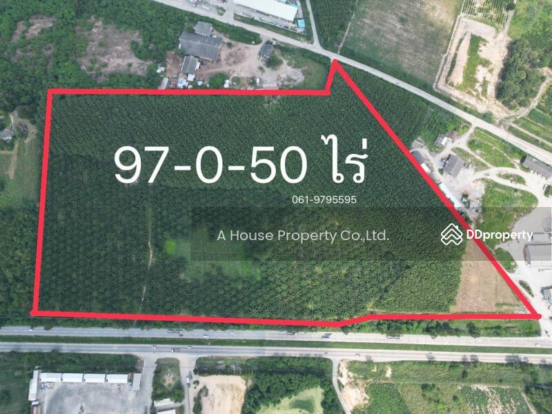 Land for sale in Ban Bueng, 97 rai, Nong Irun., Chon Buri (Pattaya)