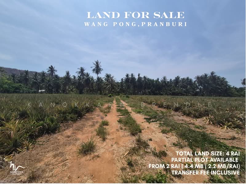Land in Wang Pong, Pranburi, Prachuap Khiri Khan