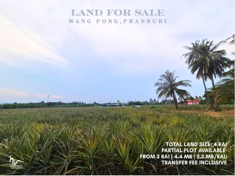 Land in Wang Pong, Pranburi, Prachuap Khiri Khan