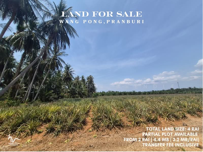 Land in Wang Pong, Pranburi, Prachuap Khiri Khan