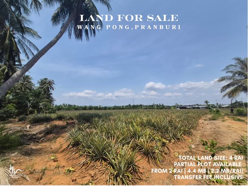Land in Wang Pong, Pranburi, Prachuap Khiri Khan