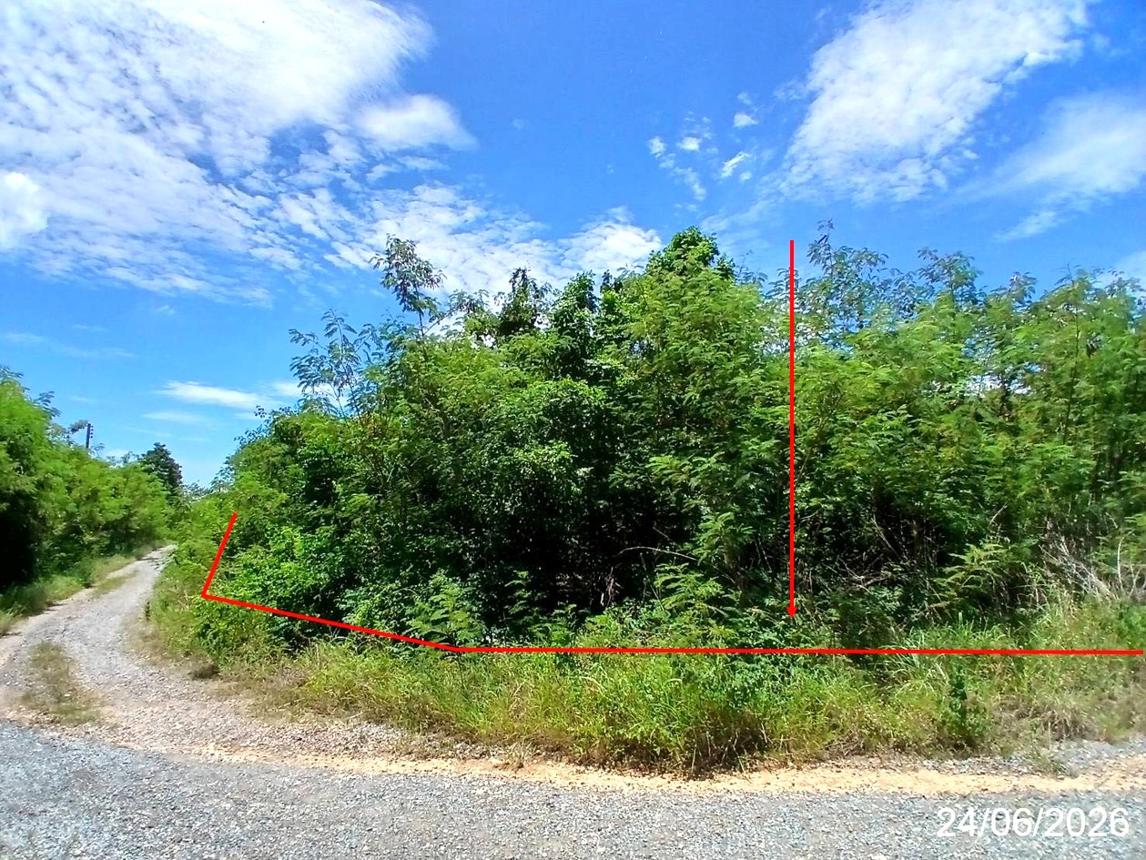 Vacant Land in Wang Mueang, Saraburi