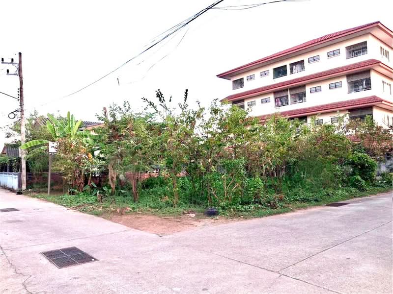ที่ดินท่าอิฐ อุตรดิตถ์, Uttaradit