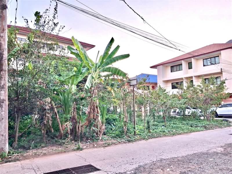 ที่ดินท่าอิฐ อุตรดิตถ์, Uttaradit