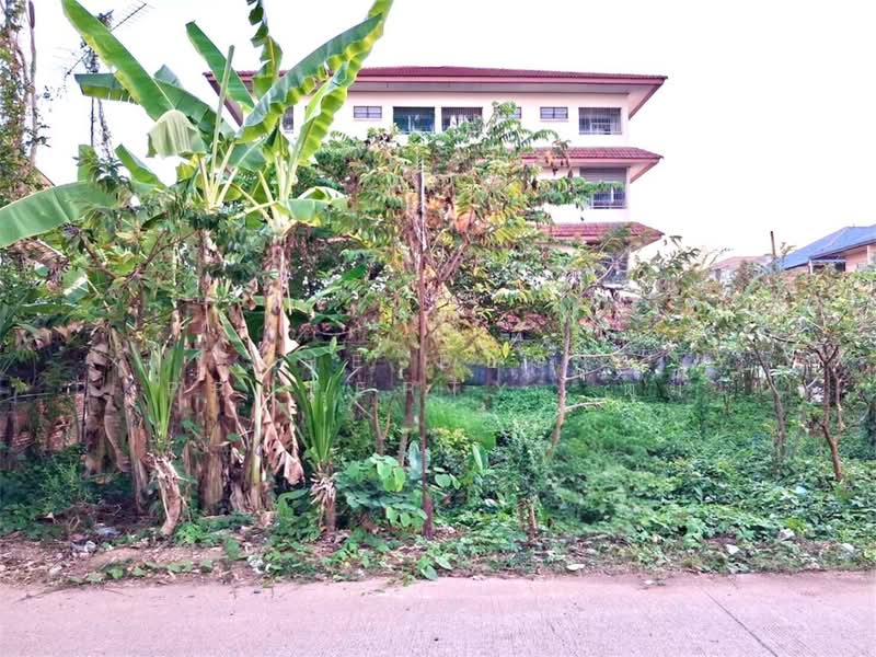 ที่ดินท่าอิฐ อุตรดิตถ์, Uttaradit