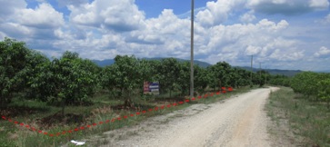 Empty land, Herbua Chai 2 (Pin On Ngam) Project, Lamphun