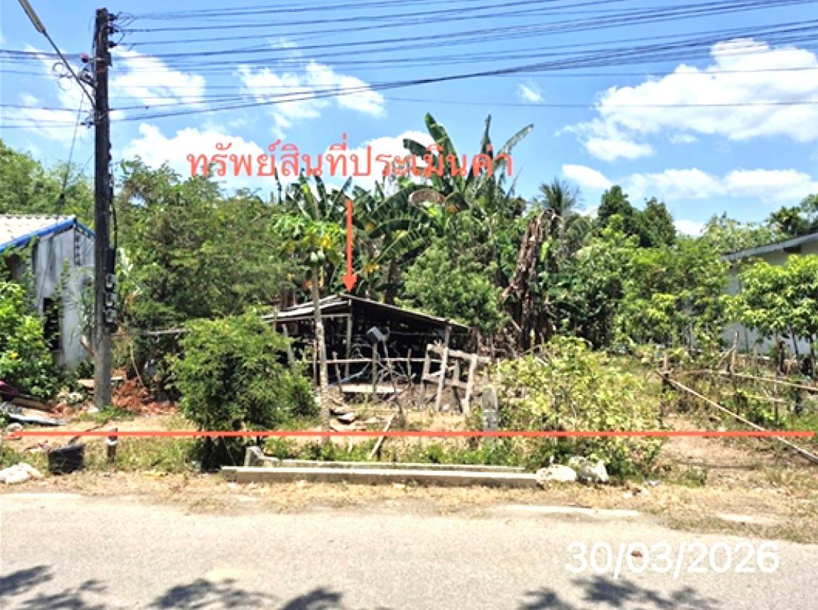 Vacant Land for Sale in Trang City, Trang Province