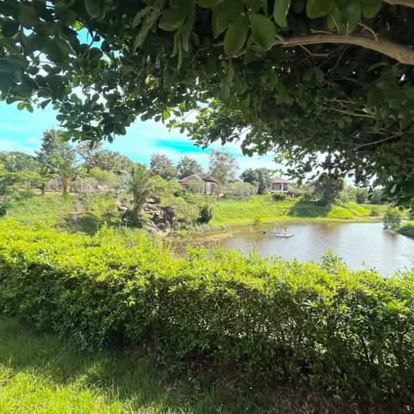 The Village Housing Estate by Horseshoe Point, Chon Buri (Pattaya)