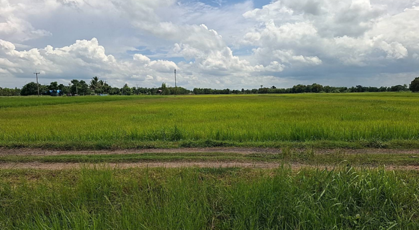 ที่ดินว่างเปล่า พยัคฆภูมิพิสัย จังหวัดมหาสารคาม