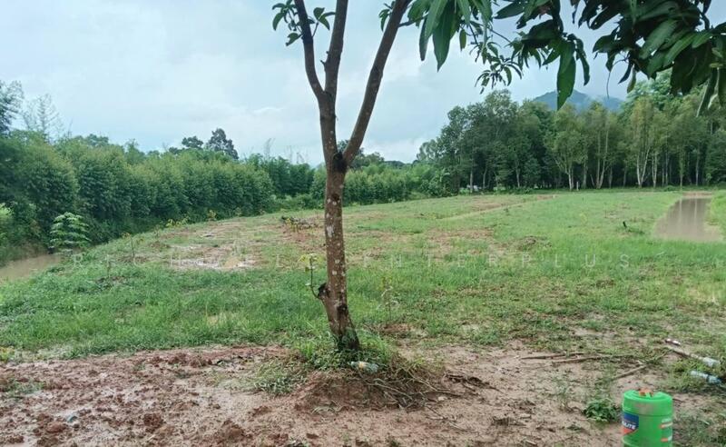 Land for sale in Naen Hom, 10 rai, Soi Wat Bo Raen, near Road 2020, 300 meters, Prachin Buri