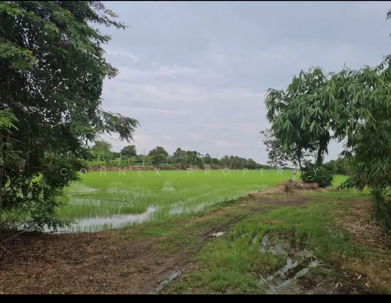 ไม่พบโครงการ, Pathum Thani