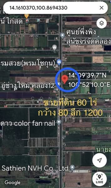 ไม่พบโครงการ, Pathum Thani