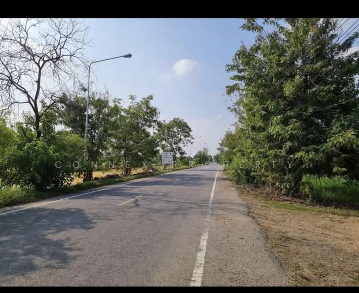 ไม่พบโครงการ, Pathum Thani