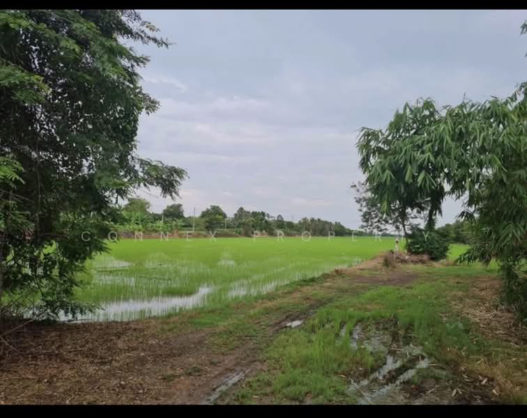 ไม่พบโครงการ, Pathum Thani