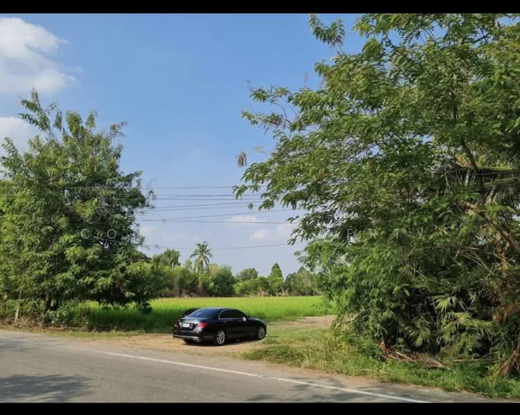ไม่พบโครงการ, Pathum Thani