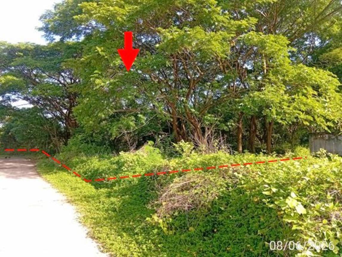 Empty Land for Sale in Udon Thani, Udon Thani