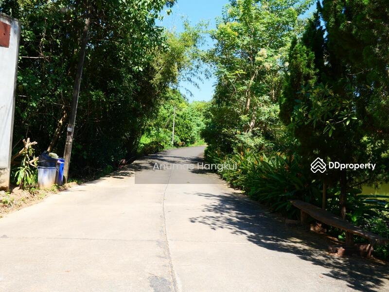 ที่ดินเนินเขา อ.มวกเหล็ก จ.สระบุรี, Saraburi