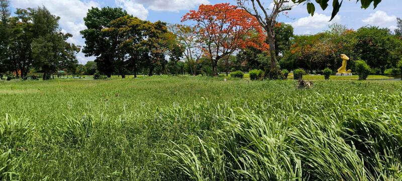 Land for sale: 2 rai in Windsor Golf Course area, Nong Chok District, Bangkok