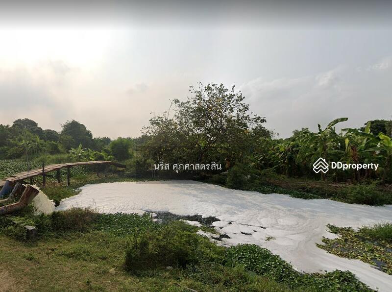 ขายที่ดิน 10 ไร่ หลังการเคหะบางพลี, Samut Prakan