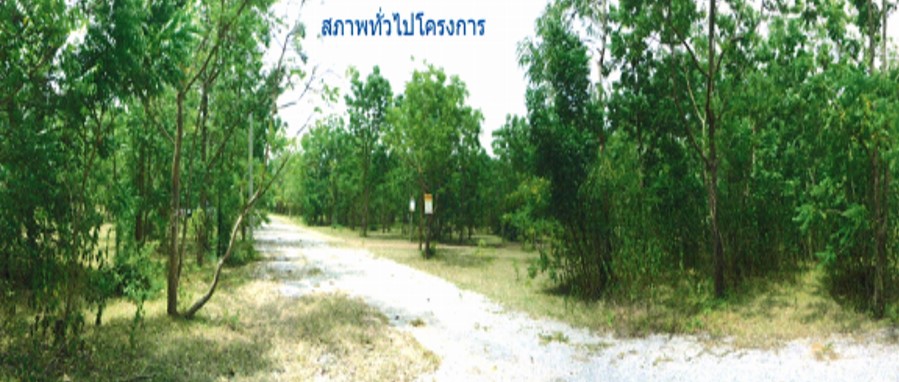 ที่ดินเปล่า โครงการอรุณพรแลนด์ นครราชสีมา