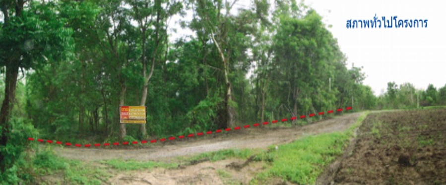 Empty land, Arun Phra Land project, Nakhon Ratchasima.