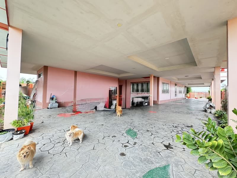 บ้านเดี่ยว 500 ตร.วา เรียบคลองบางโพธิ์เหนือ สามโคก, Pathum Thani