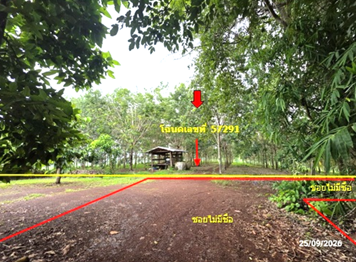 Vacant Land for Sale in Loei Province, Loei