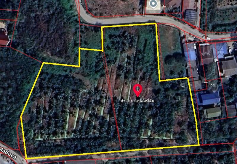 Land for Sale 7-0-56.7 Rai Soi Wat Madeua, Bang Yai area,, Nonthaburi