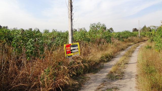 Empty land, Lamphun Sakkhong Project