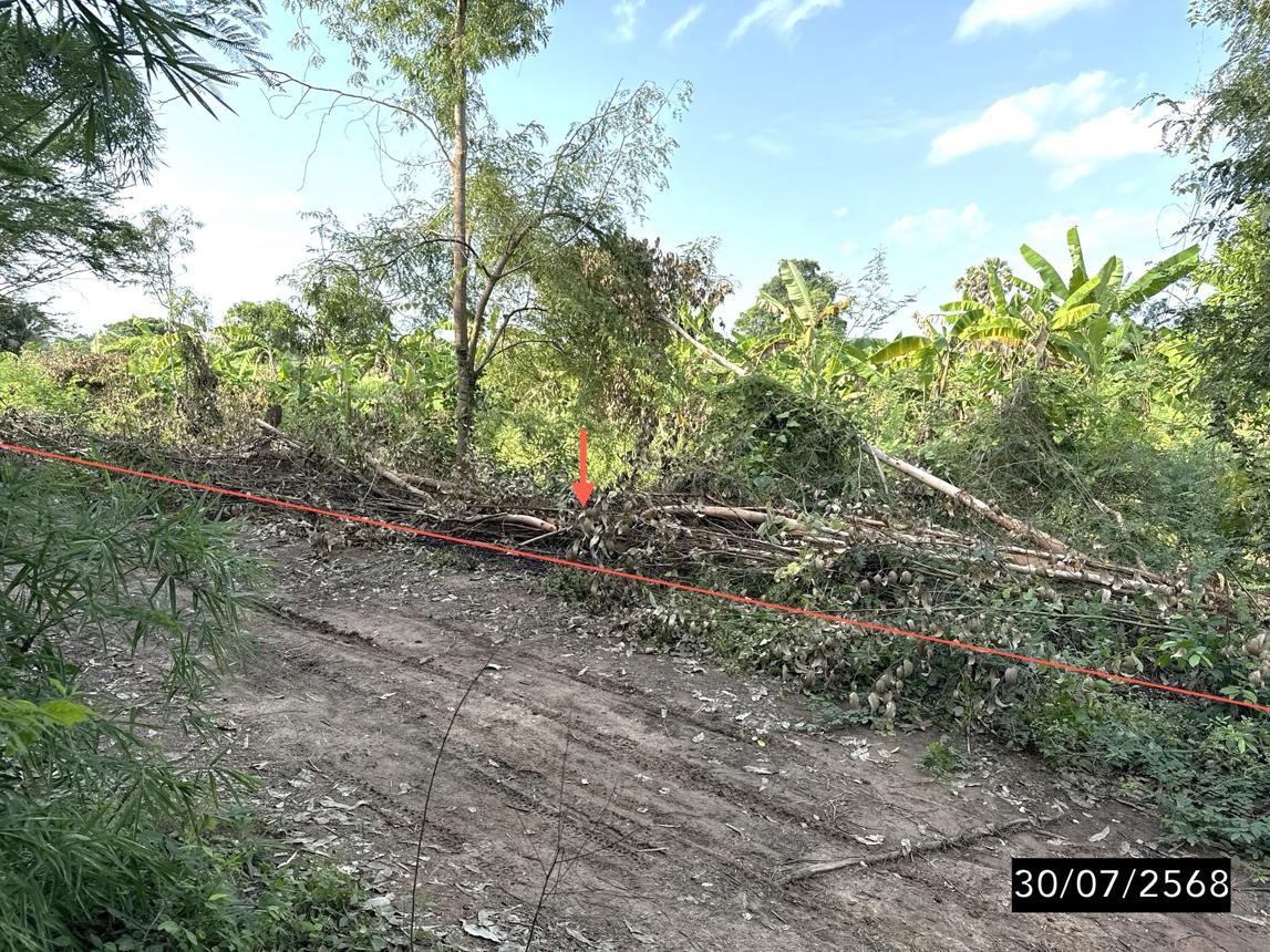 Empty land for sale in Mankiri, Khon Kaen