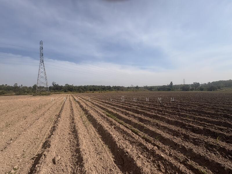 ที่ดินเปล่า, Mukdahan