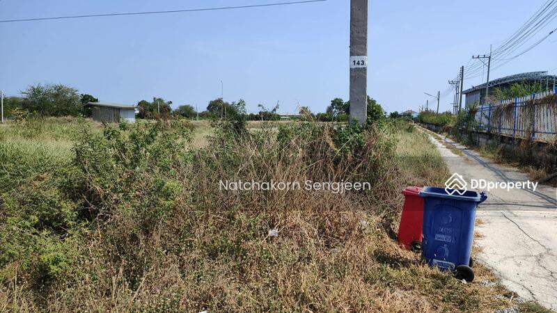 Land for sale 47 rai 321 sq m., Road 3020, Nong Chok, Bang Pakong, Chachoengsao., Chachoengsao