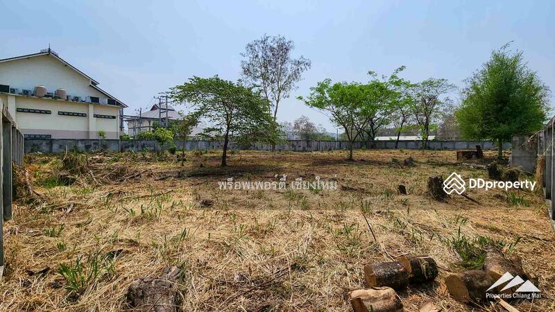 1.5 Rai Plot Of Land For Rent In Tha Sala Chiang Mai, Chiang Mai