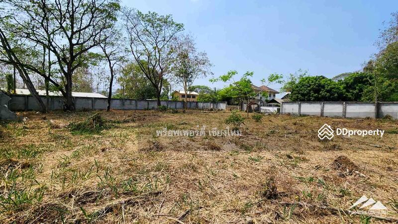 1.5 Rai Plot Of Land For Rent In Tha Sala Chiang Mai, Chiang Mai