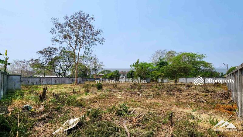 1.5 Rai Plot Of Land For Rent In Tha Sala Chiang Mai, Chiang Mai