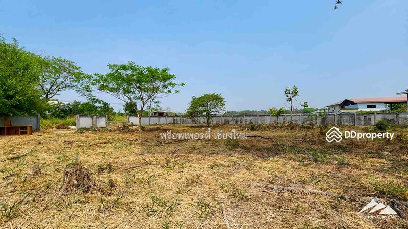 1.5 Rai Plot Of Land For Rent In Tha Sala Chiang Mai, Chiang Mai