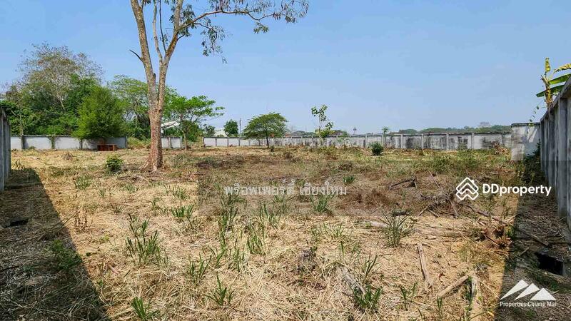 1.5 Rai Plot Of Land For Rent In Tha Sala Chiang Mai, Chiang Mai