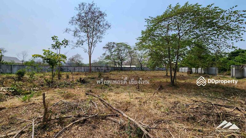 1.5 Rai Plot Of Land For Rent In Tha Sala Chiang Mai, Chiang Mai