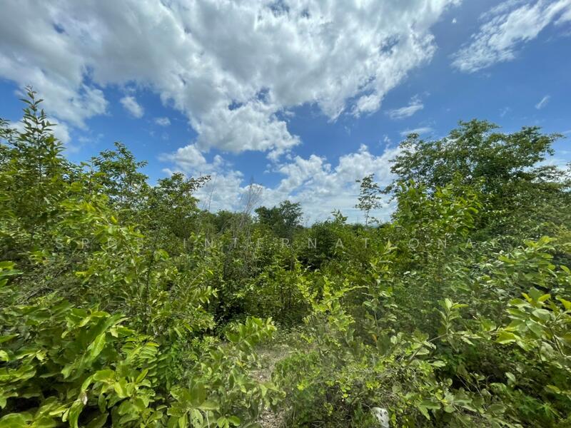 Land Kanchanaburi For Sale : Boploy 42-1-88 rai, Nice Land., Kanchanaburi