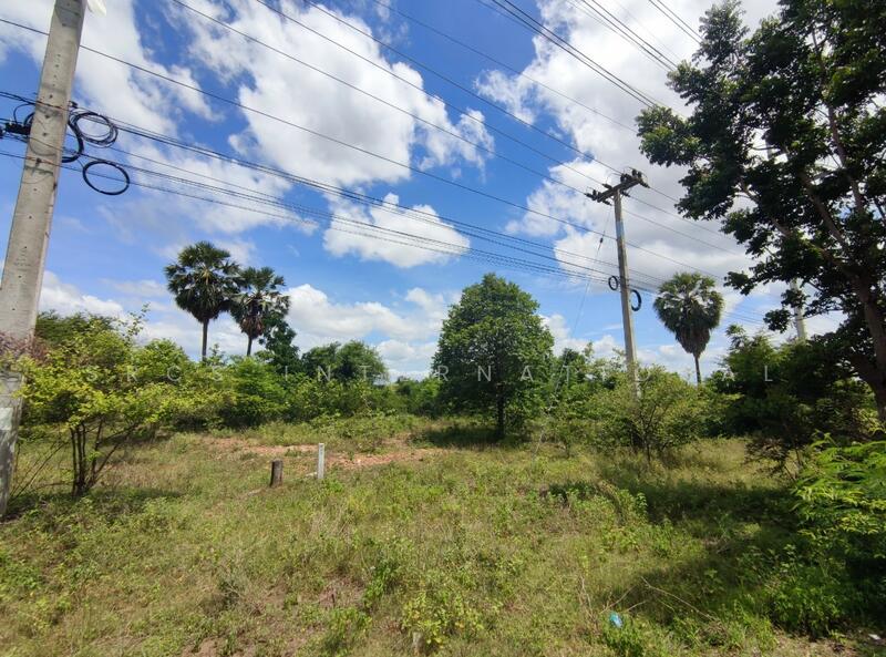Land Kanchanaburi For Sale : Boploy 42-1-88 rai, Nice Land., Kanchanaburi